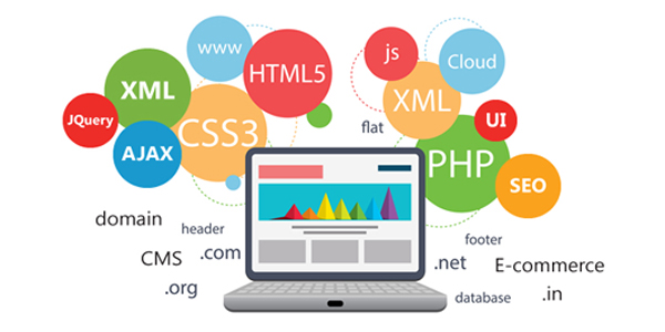 Web Development Process